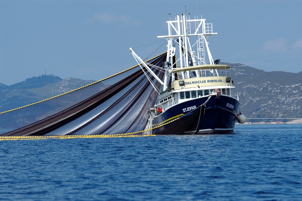 Albacore Tuna Fishing Trawler